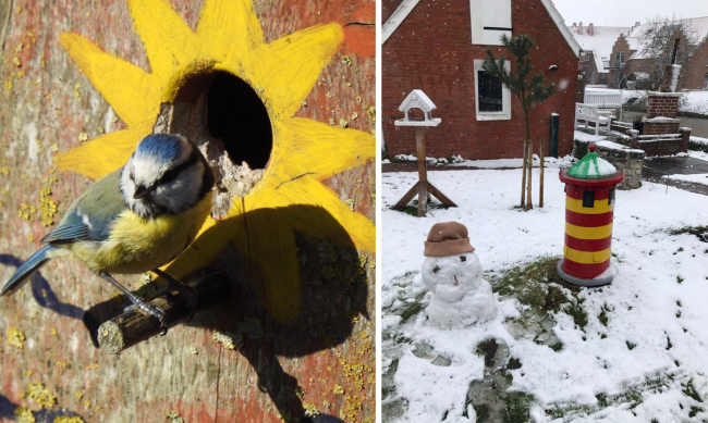 22-04-01_MeiseSchnee-V1 (2)