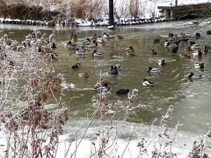 Ein Bad findet sich immer