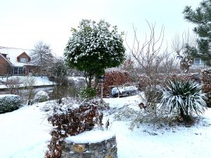 Der Sielgarten von Ankerhaus am Siel
